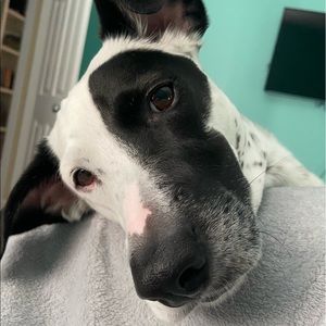 Meet your Posher, Georgia